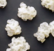 Nấm men Zygosaccharomyces rouxii